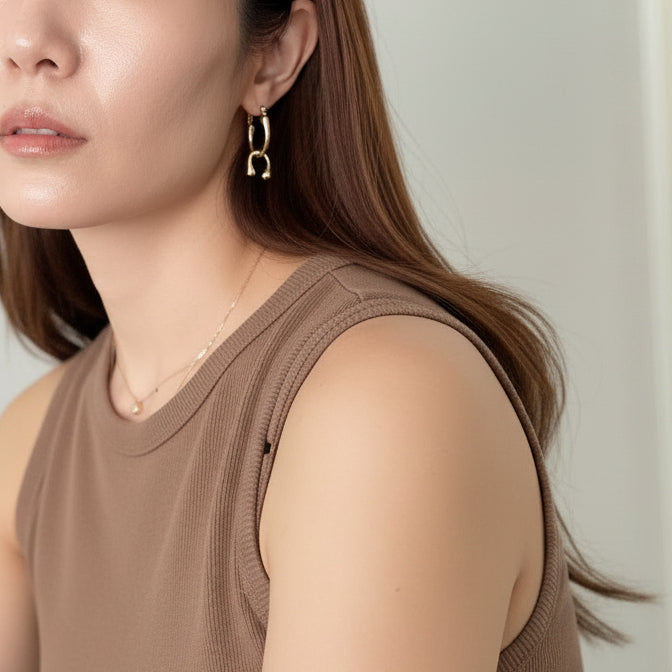 Horseshoe Link Earrin